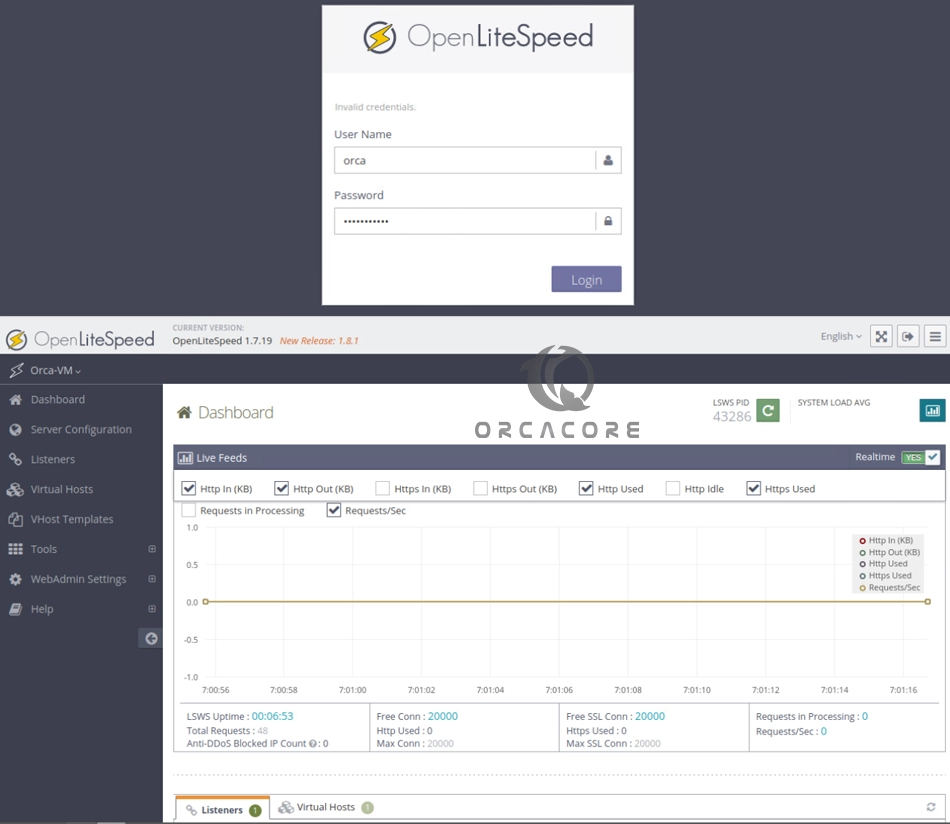 OpenLiteSpeed Admin Dashboard Ubuntu 24.04